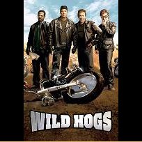 Wild Hogs (2007)
